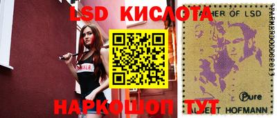 бошки Сланцы
