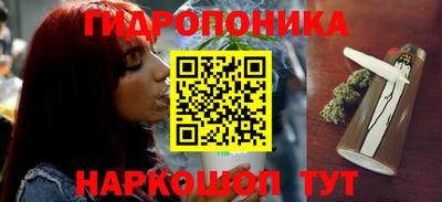 бошки Сланцы