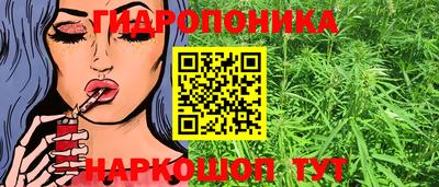 бошки Сланцы