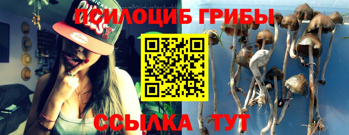 Галлюциногенные грибы ЛСД  Вход с VPN  Псилоцибиновые грибы прущие грибы  как найти   Усолье-Сибирское 